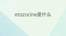 etazocine是什么意思 etazocine的中文翻译、读音、例句