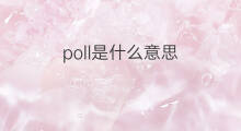 poll是什么意思 poll的中文翻译、读音、例句