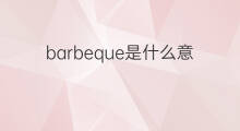 barbeque是什么意思 barbeque的中文翻译、读音、例句