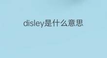 disley是什么意思 disley的中文翻译、读音、例句