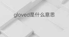 gloved是什么意思 gloved的中文翻译、读音、例句