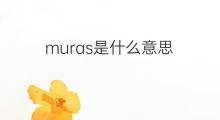 muras是什么意思 muras的中文翻译、读音、例句
