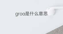 groa是什么意思 groa的中文翻译、读音、例句