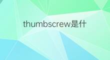 thumbscrew是什么意思 thumbscrew的中文翻译、读音、例句