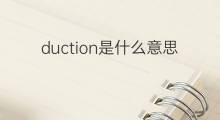 duction是什么意思 duction的中文翻译、读音、例句