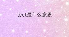 teet是什么意思 teet的中文翻译、读音、例句