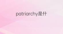 patriarchy是什么意思 patriarchy的中文翻译、读音、例句