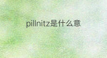 pillnitz是什么意思 pillnitz的中文翻译、读音、例句