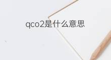 qco2是什么意思 qco2的中文翻译、读音、例句