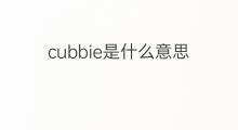 cubbie是什么意思 cubbie的中文翻译、读音、例句