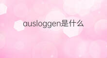 ausloggen是什么意思 ausloggen的中文翻译、读音、例句
