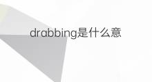 drabbing是什么意思 drabbing的中文翻译、读音、例句