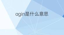 agin是什么意思 agin的中文翻译、读音、例句