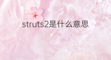 struts2是什么意思 struts2的中文翻译、读音、例句