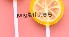 jang是什么意思 jang的中文翻译、读音、例句