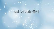 subvisible是什么意思 subvisible的中文翻译、读音、例句