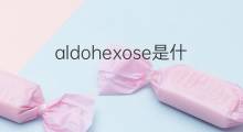 aldohexose是什么意思 aldohexose的中文翻译、读音、例句