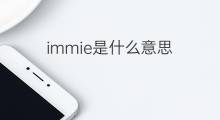 immie是什么意思 immie的中文翻译、读音、例句