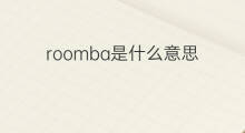 roomba是什么意思 roomba的中文翻译、读音、例句