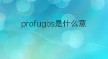profugos是什么意思 profugos的中文翻译、读音、例句
