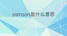 samson是什么意思 samson的中文翻译、读音、例句