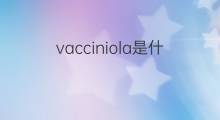 vacciniola是什么意思 vacciniola的中文翻译、读音、例句