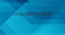 chavo是什么意思 chavo的中文翻译、读音、例句
