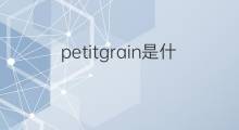 petitgrain是什么意思 petitgrain的中文翻译、读音、例句