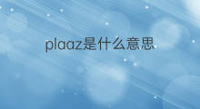 plaaz是什么意思 plaaz的中文翻译、读音、例句