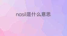 nasil是什么意思 nasil的中文翻译、读音、例句