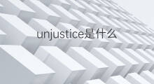 unjustice是什么意思 unjustice的中文翻译、读音、例句