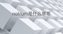 natrum是什么意思 natrum的中文翻译、读音、例句