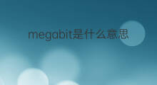 megabit是什么意思 megabit的中文翻译、读音、例句