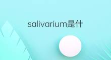 salivarium是什么意思 salivarium的中文翻译、读音、例句