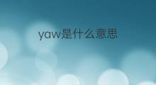 yaw是什么意思 yaw的中文翻译、读音、例句