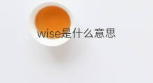 wise是什么意思 wise的中文翻译、读音、例句