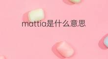 mattia是什么意思 mattia的中文翻译、读音、例句