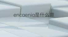 encaenia是什么意思 encaenia的中文翻译、读音、例句