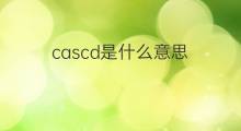 cascd是什么意思 cascd的中文翻译、读音、例句