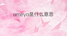 ameya是什么意思 ameya的中文翻译、读音、例句