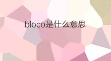 bloco是什么意思 bloco的中文翻译、读音、例句