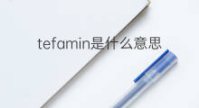 tefamin是什么意思 tefamin的中文翻译、读音、例句