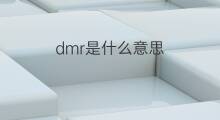 dmr是什么意思 dmr的中文翻译、读音、例句