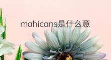 mahicans是什么意思 mahicans的中文翻译、读音、例句