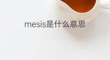 mesis是什么意思 mesis的中文翻译、读音、例句