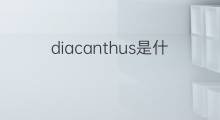 diacanthus是什么意思 diacanthus的中文翻译、读音、例句