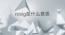 rosig是什么意思 rosig的中文翻译、读音、例句