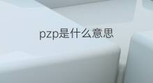 pzp是什么意思 pzp的中文翻译、读音、例句