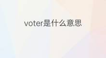 voter是什么意思 voter的中文翻译、读音、例句