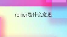 roilier是什么意思 roilier的中文翻译、读音、例句